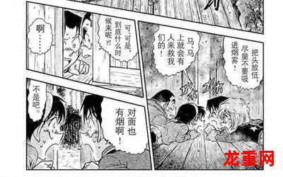 名侦探柯南817-名侦探柯南817韩国漫画&韩国动漫&完结版-全集直接阅读